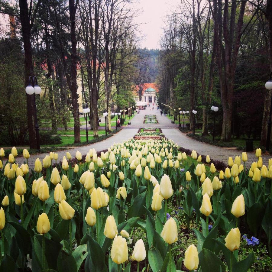 Villa Filmowiec Polanica-Zdroj Dış mekan fotoğraf